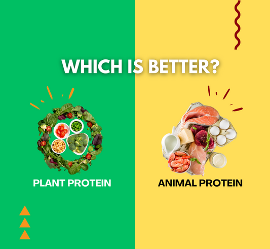 Plant-Based vs. Animal-Based Protein: Which is Better for You?