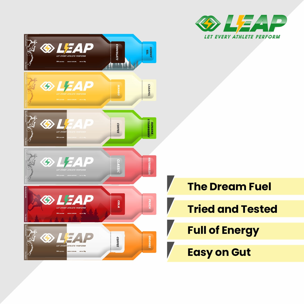 LEAP Energy Gels Pack of 12 (All 12 Flavors)