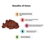 LEAP Clean Energy Bar | Clean Energy Bar.