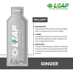 LEAP Classic Energy Gel (Ginger Flavor)