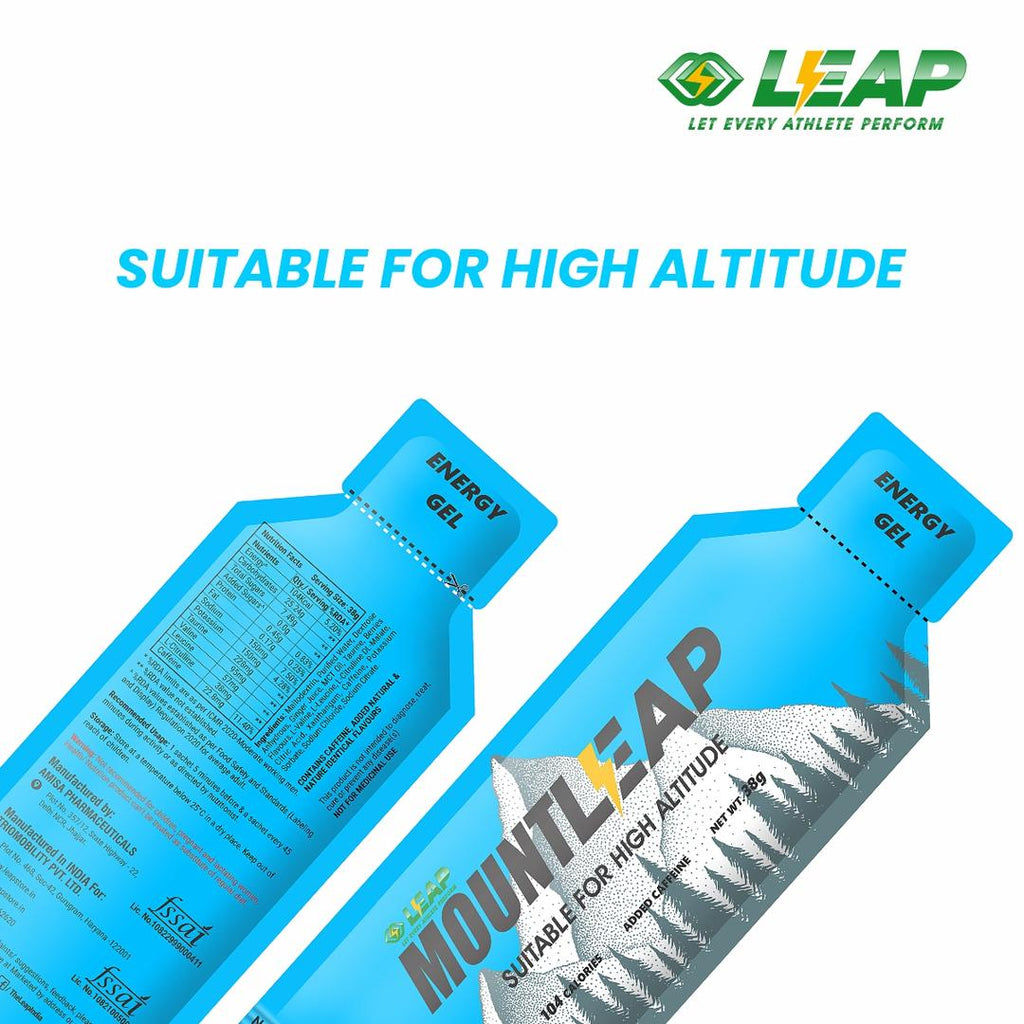 LEAP Mount Energy Gel (Blueberry)