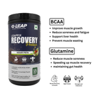 LEAP Leapfix Recovery Protein | Recovery Protein - 500gm Leapstoreindia