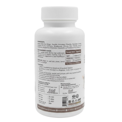 LEAP Advance Salt Capsules With Caffienated Recharge -60 Vegan Capsules Leapstoreindia