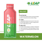 LEAP Energy Gel (Watermelon Flavor)