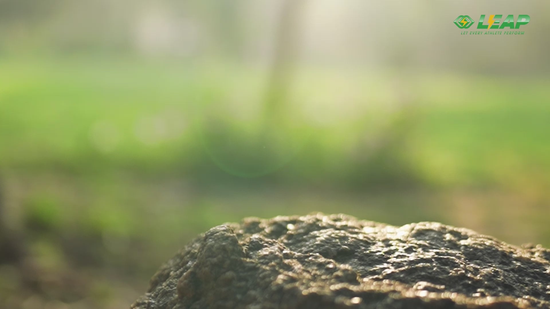 LEAP Energy Gel (Banana Strawberry Flavor)